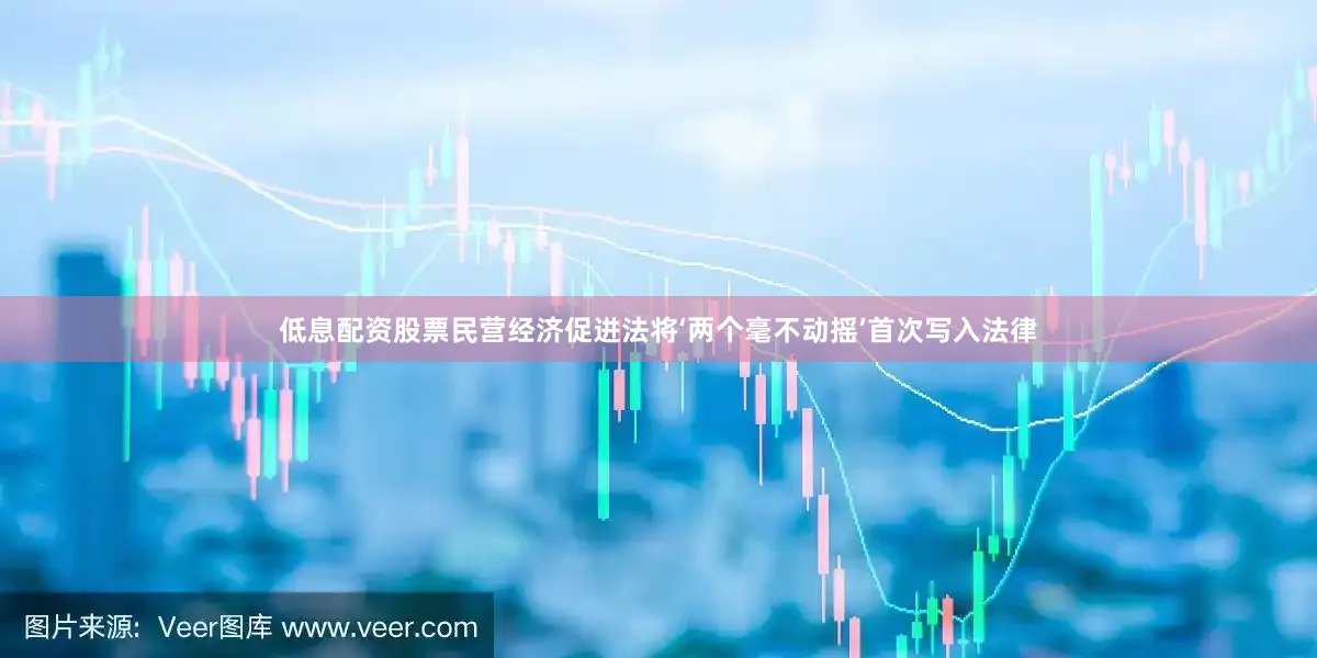 低息配资股票民营经济促进法将‘两个毫不动摇’首次写入法律