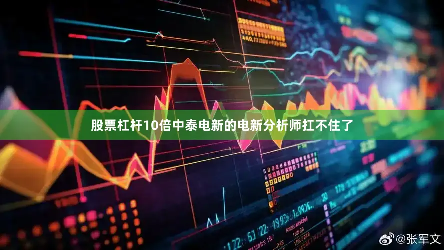 股票杠杆10倍中泰电新的电新分析师扛不住了